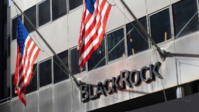 Blackrock считает, что биткоин ожидает знаменательный год, поскольку стейблкоины двигают будущее финансовой системы.