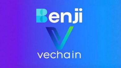 Franklin Templeton интегрирует платформу BENJI в сеть VeChain для корпоративных платежей