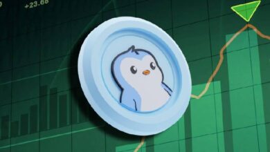 Инвестор Traderpow не поддавался панике и в итоге продал PENGU с прибылью в 60%
