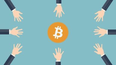 Кто владеет биткоином: карта цифрового богатства 2025 года