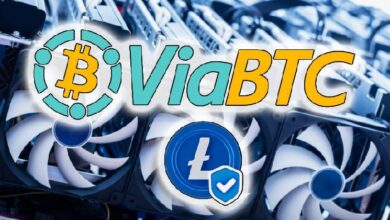 Майнинг Litecoin в 2025 году: перспективы, пул ViaBTC и домашний асик Elphapex DG Home 1