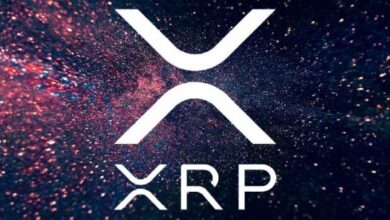 Обновление ZK в Ethereum получило высокую оценку от Кэти Вуд