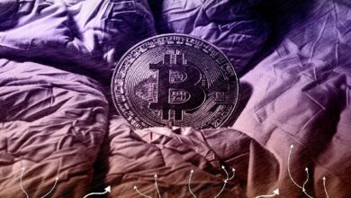 Перевод биткоинов на ,6 млрд породил споры о личности владельца