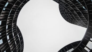 Первое голосовое DAO запустилось на Polkadot: управление через распознавание речи