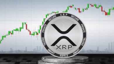 Ripple выиграла долгожданное дело против SEC: XRP вырос на 38%