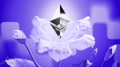 Соучредитель Lido занял  млн ради инвестиций в Ethereum