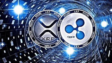Технический директор Ripple Дэвид Шварц считает биткоин основой экосистемы цифровых активов