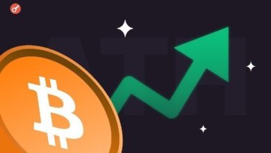 В CryptoQuant объяснили обновление биткоином исторического максимума активностью кита на Binance