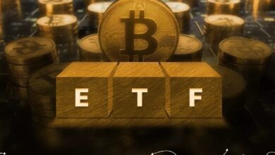 Американские университеты нарастили позиции в биткоин-фондах