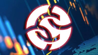 Chainalysis представила Rapid: ИИ-сервис для экспресс-анализа подозрительных кошельков