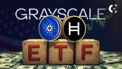 Файлы в оттенках серого для ETF Cardano (ADA) и Hedera (HBAR), резкий рост цен