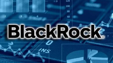 Компания BlackRock стала крупнейшим держателем биткоинов после Сатоши Накамото