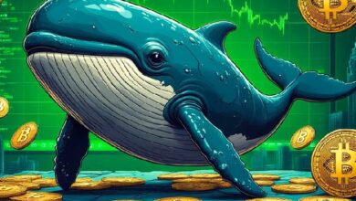 Криптокиты за последние 4 месяца выкупили 1% от общей эмиссии биткоина