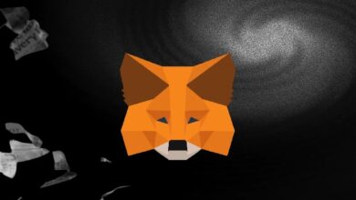 MetaMask добавила функцию входа через Google и Apple ID