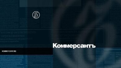 Мошенники начали похищать деньги под видом продажи криптовалюты Labubu