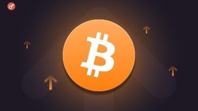 The Smarter Web Company увеличила свой биткоин-портфель на 295 BTC