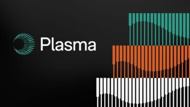 Токен XPL от Plasma торгуется на премаркете с полностью разводненной оценкой, превышающей ,5 млрд