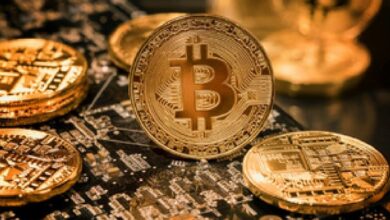 В США уже создан стратегический биткоин-резерв
