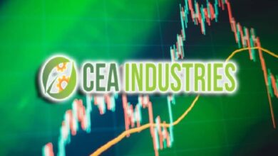 CEA Industries подала заявку на 0 млн для PIPE-сделки и планирует стать ведущим держателем BNB