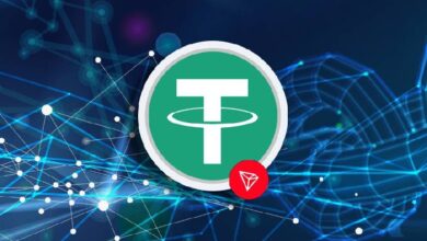 Крупные инвесторы увеличили свою долю переводов USDT в сети TRON