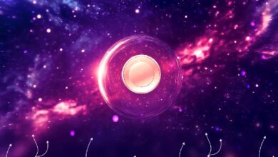 Plasma запустил основную сеть и токен XPL