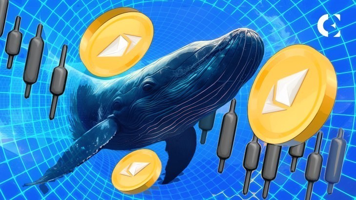 Самые богатые криптокошельки сейчас делают одну и ту же ставку – Ethereum