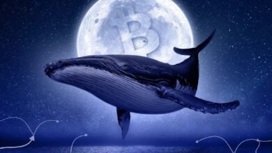 Участник ICO Ethereum направил в стейкинг монеты на 5 млн