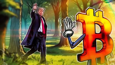 Forbes назвал Трампа одним из крупнейших держателей биткоина с долей 0 млн