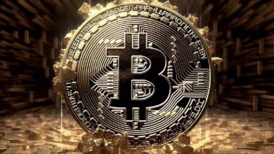 Гонконгская компания по добыче биткоинов Cango опубликовала отчёт о производстве BTC за сентябрь