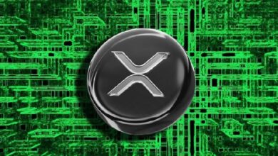 Исследователь ZachXBT: взлом криптокошелька Ellipal привел к краже  млн в XRP