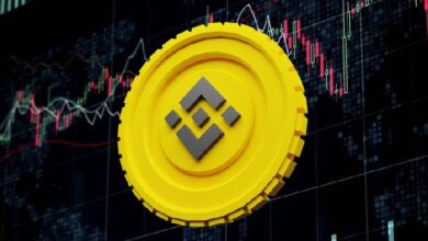 Курс криптовалюты BNB обновил свой рекорд на фоне бурного роста активности сети