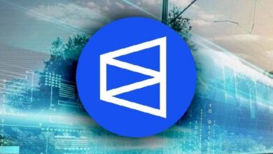Messari: разработчики Polymarket готовят запуск токена POLY и масштабный аирдроп