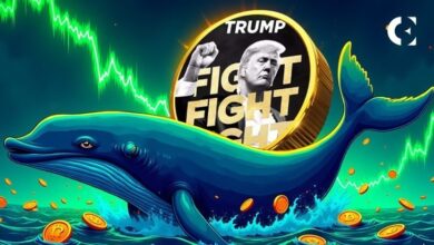 Накопление криптовалюты «китами Трампа» резко возросло — неизбежен ли ценовой взрыв?