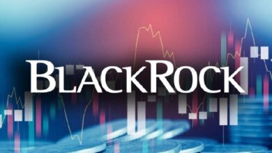 Продукт BlackRock IBIT обеспечивает почти весь приток в Bitcoin ETF в 2025 году
