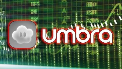 Проект Umbra привлек 5 млн в рамках ICO: лимит превышен в 50 раз и инвесторы получат лишь 2% токенов