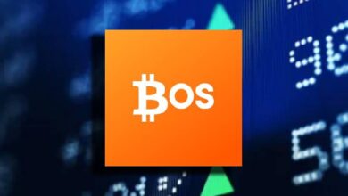 Стартап BitcoinOS получил от инвесторов  млн для расширения институциональных BTCFi-решений