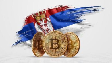 Власти Сербии намерены запустить платформу по отслеживанию криптотранзакций