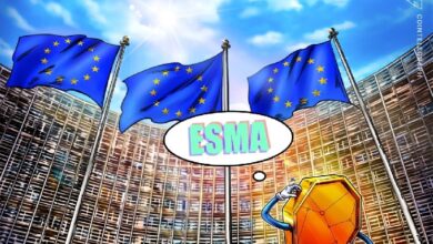 ЕС намерен передать надзор за криптокомпаниями общеевропейскому регулятору — СМИ