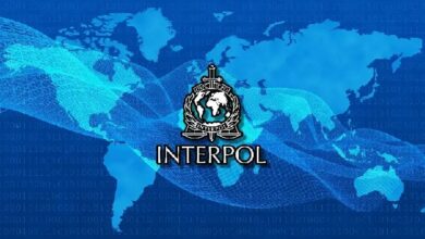 Интерпол признал криптомошенничество общемировой угрозой
