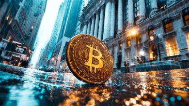 IOTA публикует общедоступную демонстрацию паспорта цифрового продукта