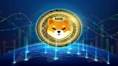 Разработчики Shiba Inu пообещали повысить конфиденциальность блокчейна Shibarium