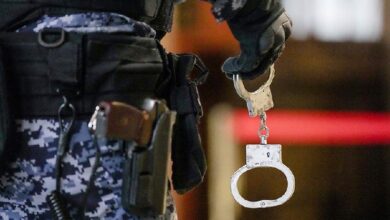 Росгвардия показала кадры задержания подозреваемого в убийстве Новака в ОАЭ