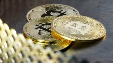 В МВД сообщили о новой мошеннической схеме с криптоинвестициями