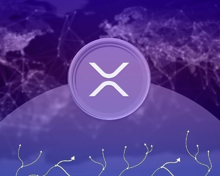 В VanEck выразили сомнения в полезности XRP от Ripple