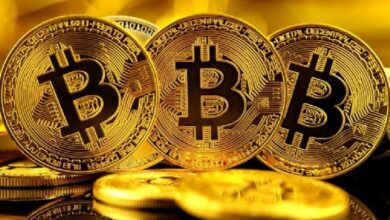 ZK Casino начинает частичную выплату по затянувшемуся делу о мошенничестве на сумму 33 миллиона долларов
