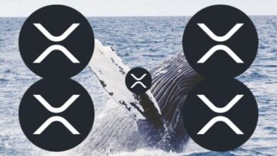 Активность китов XRP резко возросла, но количество кошельков снизилось