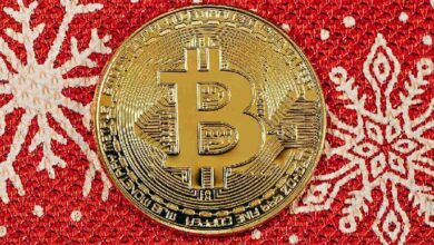 Искусственный интеллект ожидает рост биткоина к 25 декабря