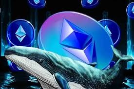 Крупные держатели ETH за 3 недели приобрели 934 000 токенов, в то время как мелкие держатели распродают