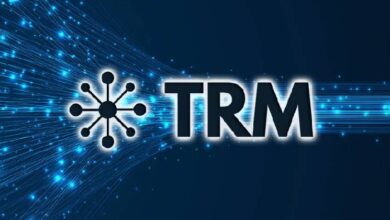 TRM Labs подвела итоги 2025 года в борьбе с преступностью в криптовалютном секторе