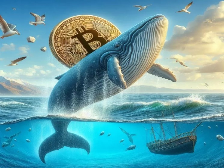 Что делают крупные игроки на рынке по мере роста биткоина? Покупают или продают? Вот последние данные!